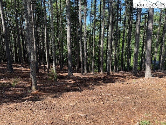 Lot 37 Smoke Rise Path West Jefferson, NC 28694 - Photo 7 of 19