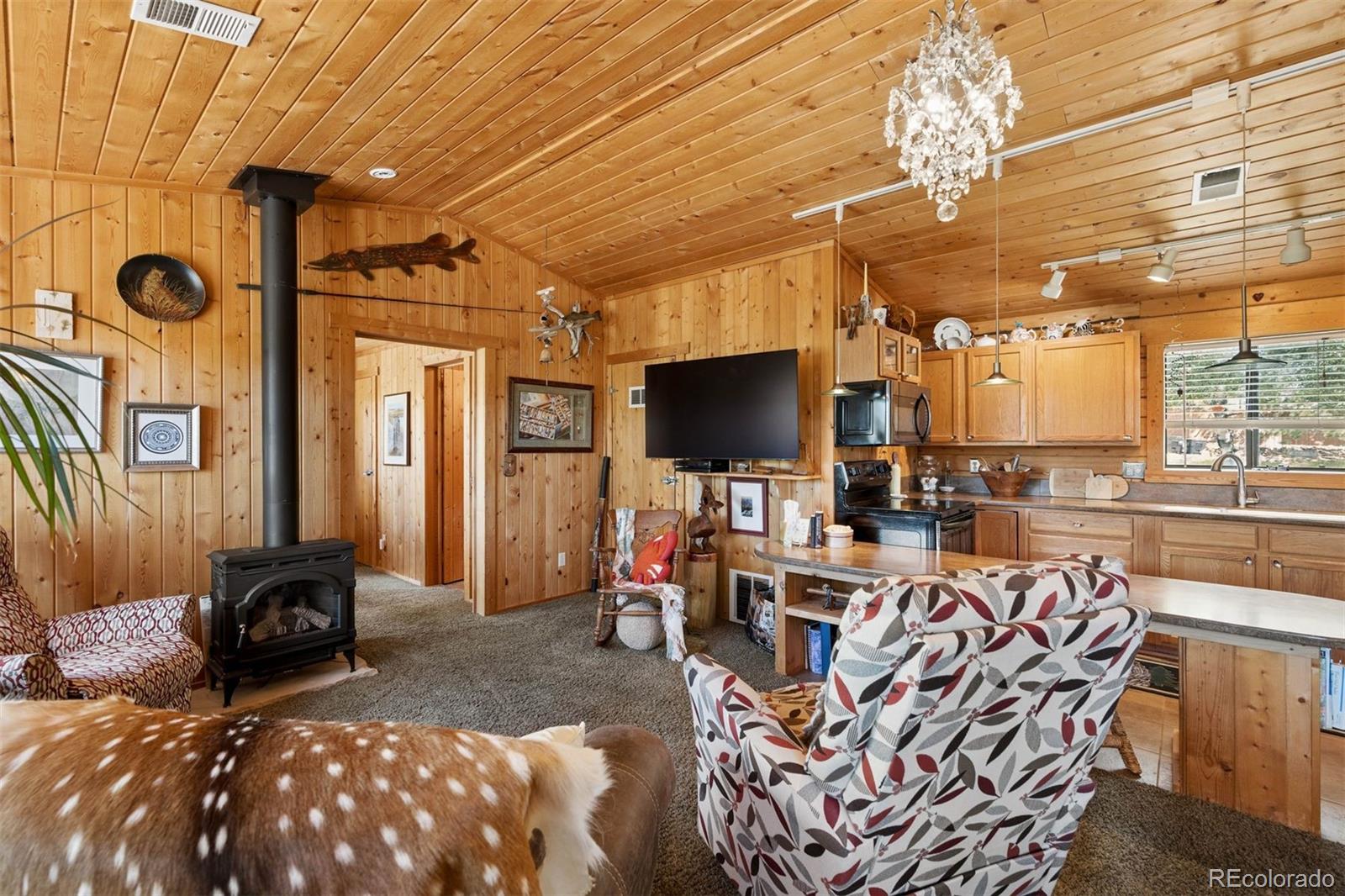 247 Bunny Road Bailey, CO 80421 - Photo 6 of 39 Gallery Image 6