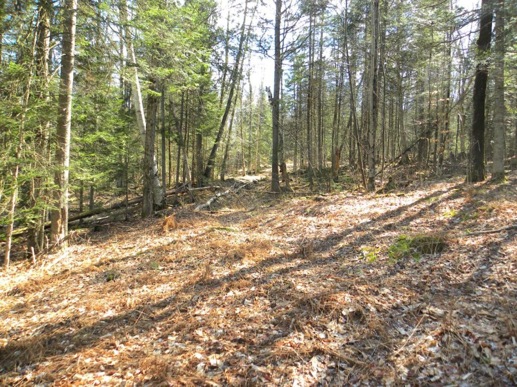 - Sy Lewis Mountain Road Concord, VT 05824 - Photo 3 of 26
