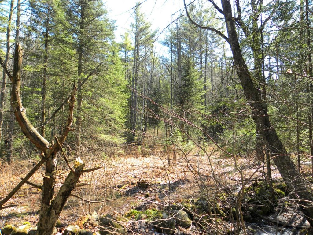 - Sy Lewis Mountain Road Concord, VT 05824 - Photo 22 of 26
