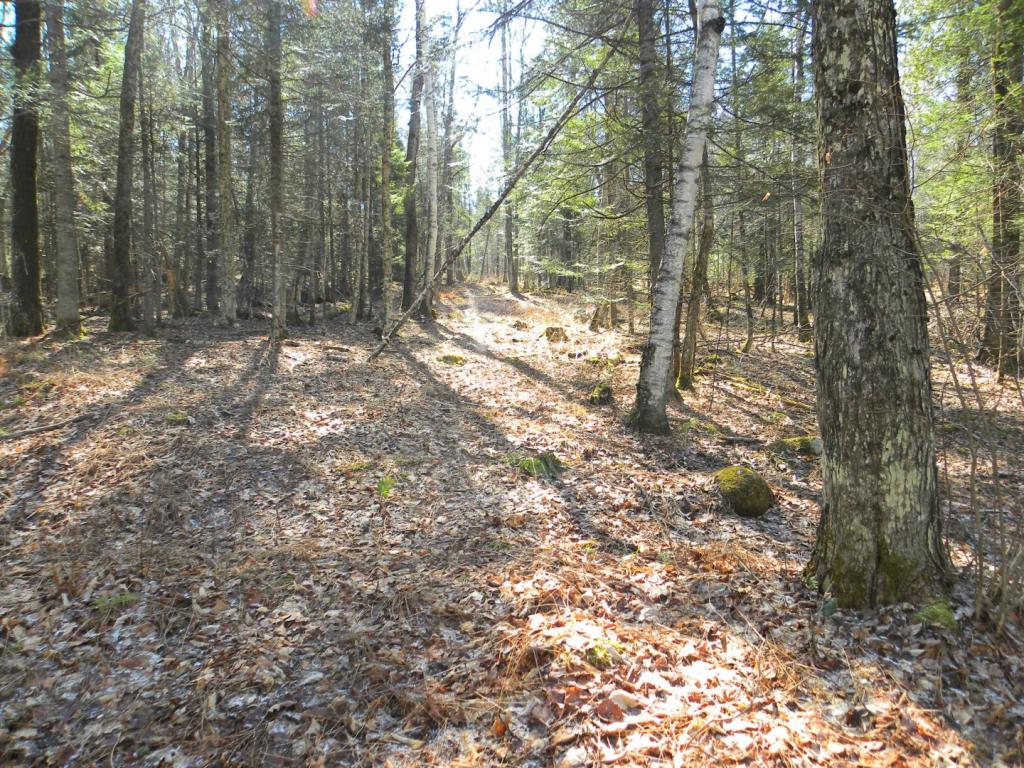 - Sy Lewis Mountain Road Concord, VT 05824 - Photo 8 of 26