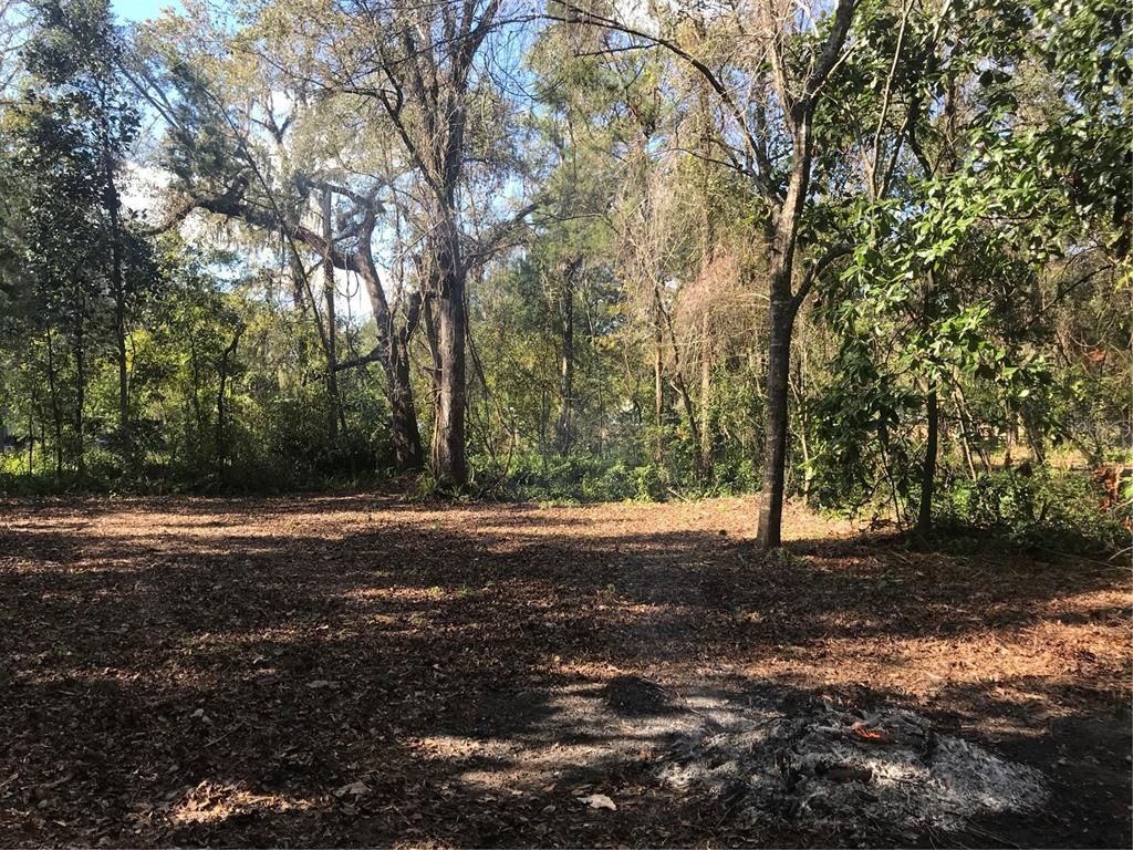 656 County Road Webster, FL 33597 - Photo 3 of 6 Gallery Image 3