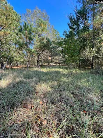$61,900 | 110 Willow Creek Boulevard, Lugoff, SC 29078
