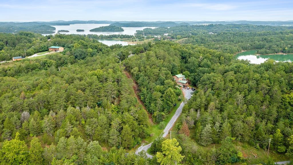 1737 Parrotts Chapel Road Sevierville, TN 37876 - Photo 5 of 30 Gallery Image 5