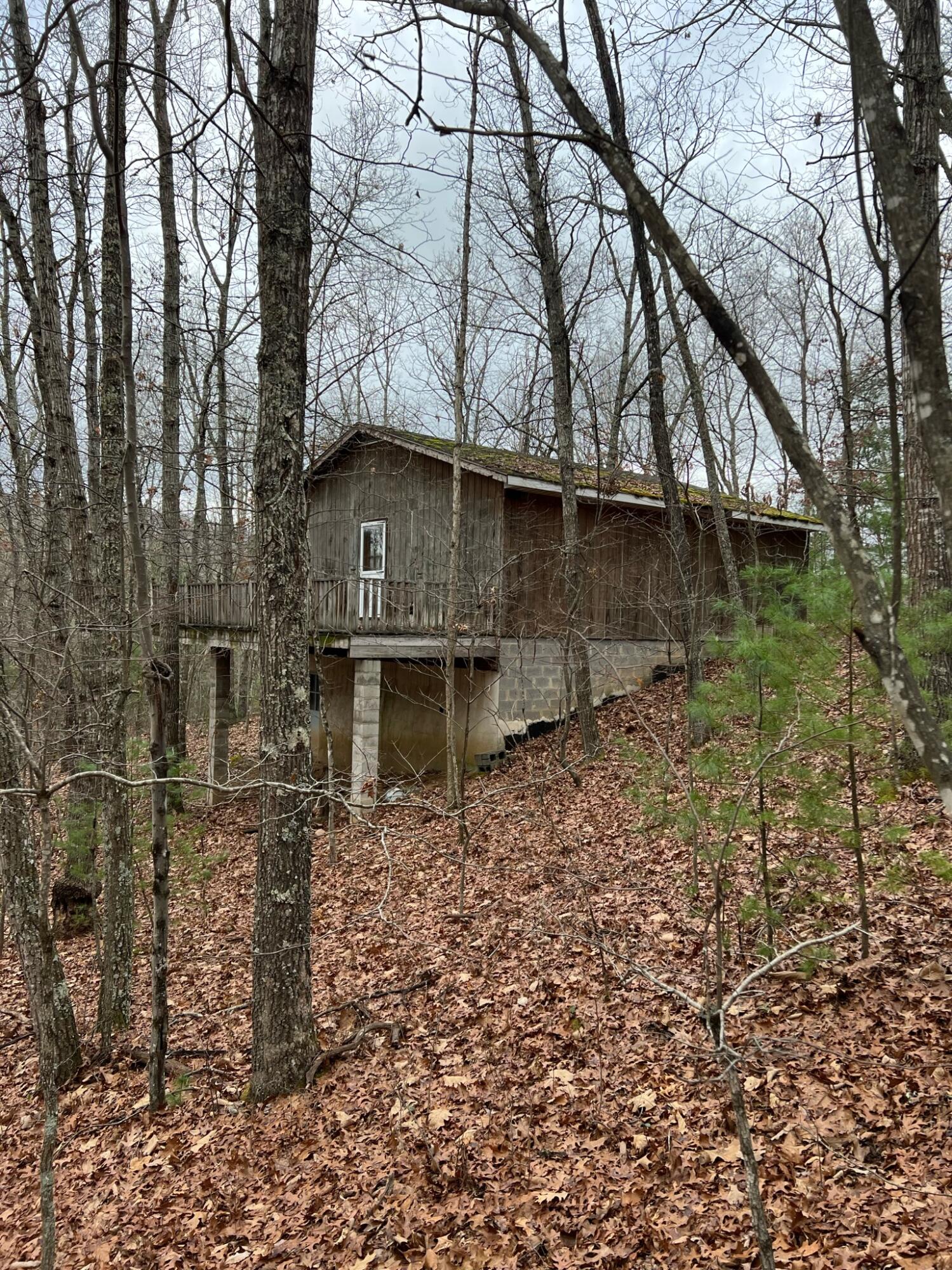 Wildcat Hill Road Gap Mills, WV 24941 - Photo 1 of 37 Gallery Image 1