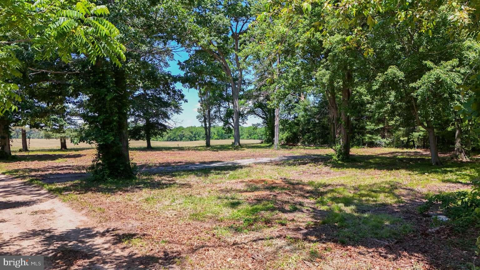 22 Nutt Lane Mullica Hill, NJ 08062 - Photo 16 of 16