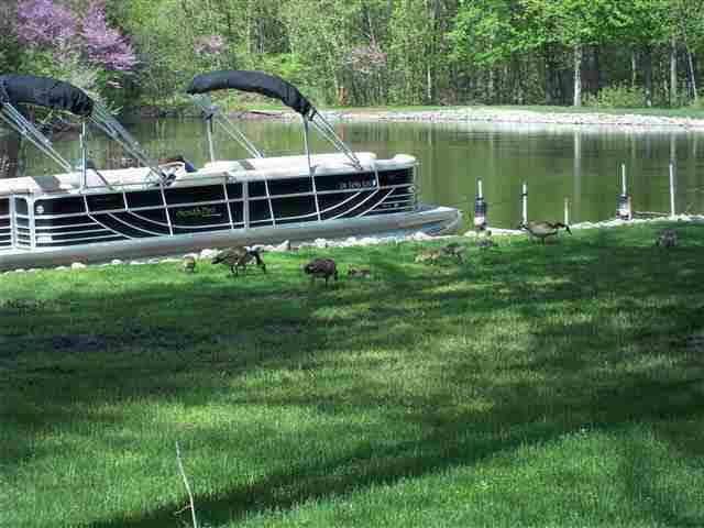 3573 Bridgetown Road Bristol, IN 46507 - Photo 6 of 28 Gallery Image 6