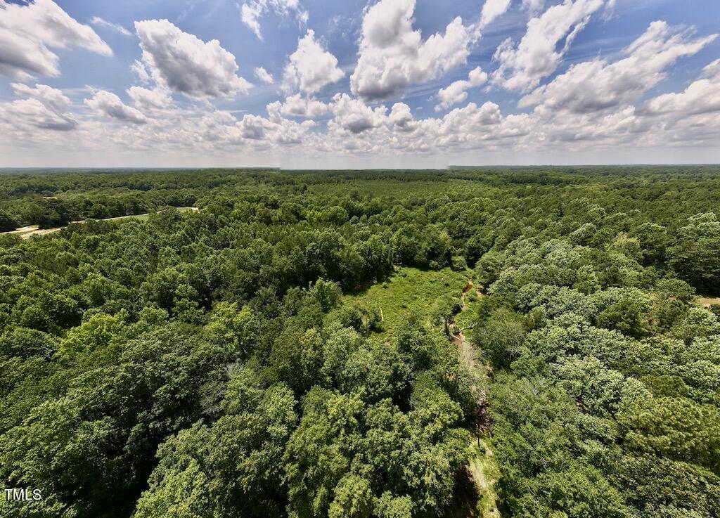 11 Peachtree Hills Road Spring Hope, NC 27882 - Photo 5 of 35 5