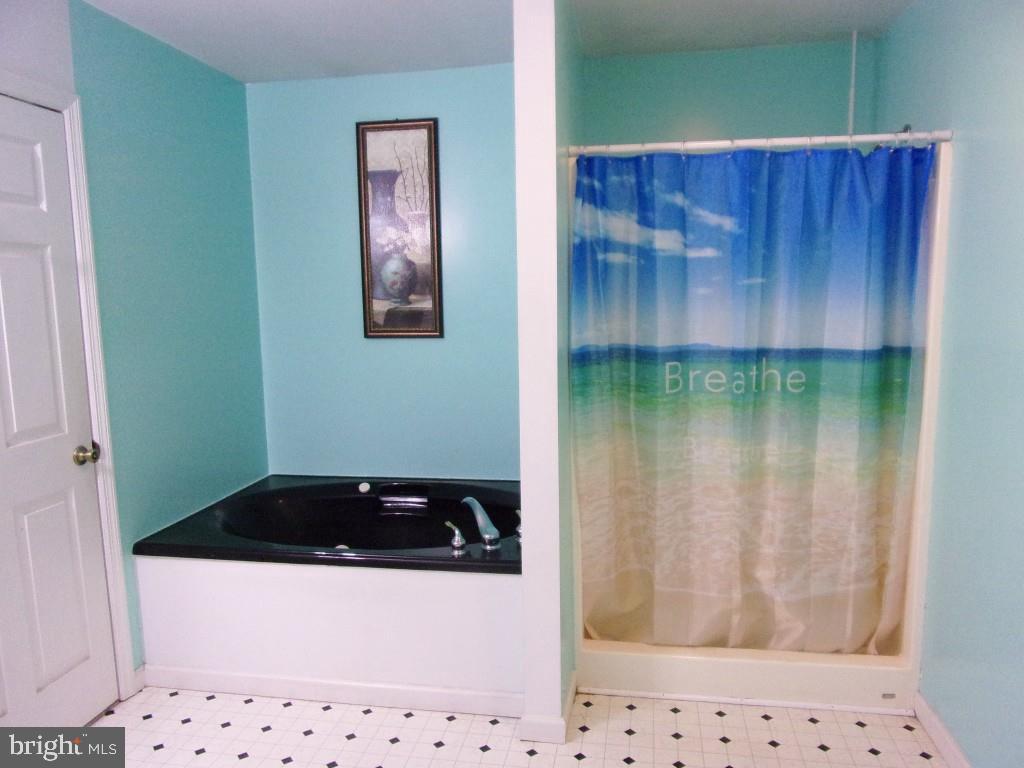 450 Evergreen Road New Bloomfield, PA 17068 - Photo 8 of 28 WHIRLPOOL TUB AND SEPARATE SHOWER