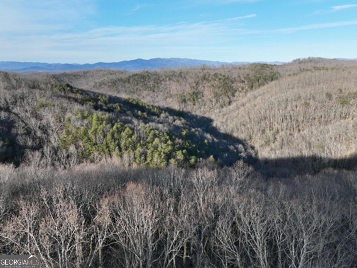 249 Andes Ridge Talking Rock, GA 30175 - Photo 17 of 20