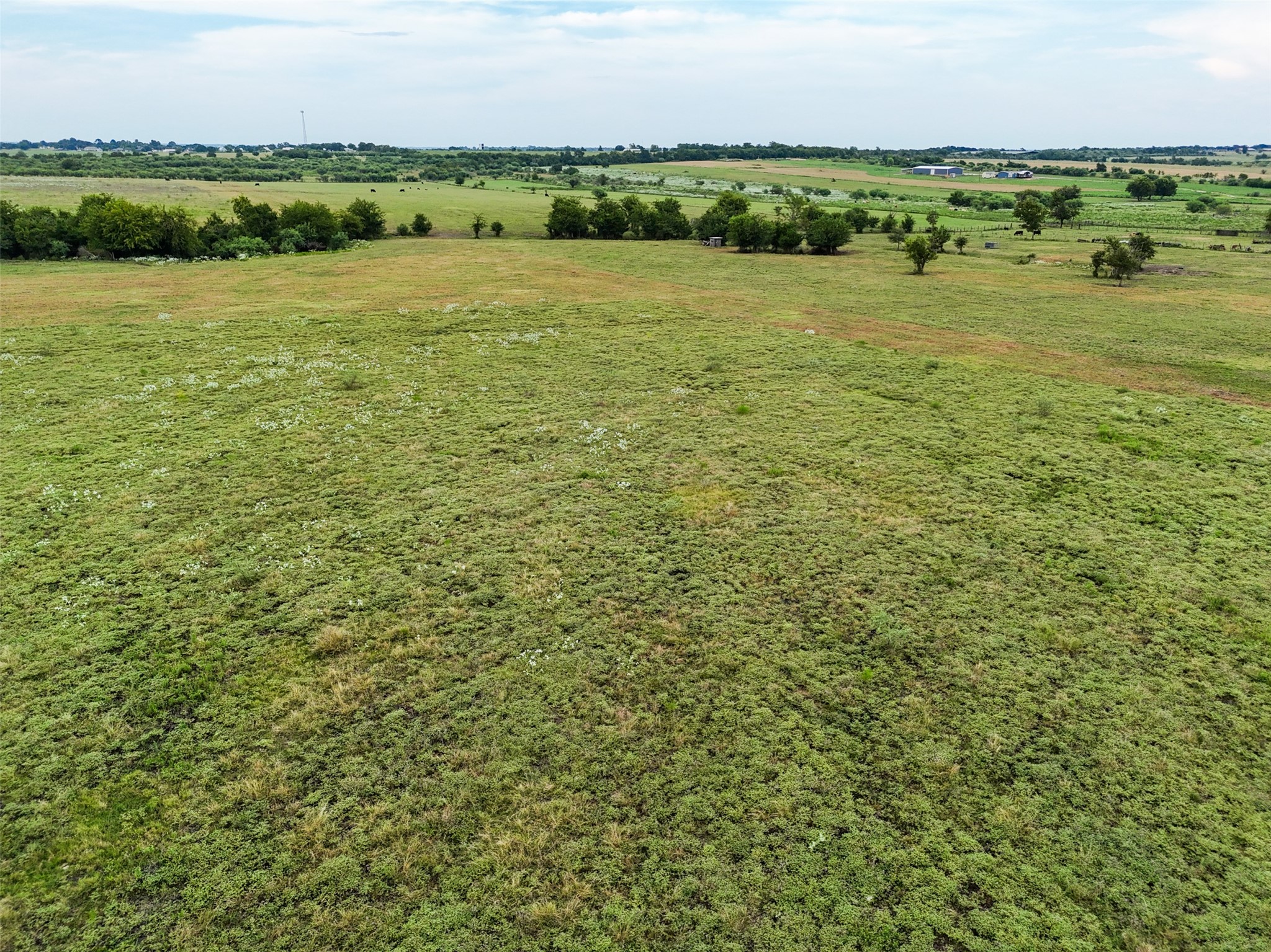 5211 Chadwick-Hogan Road Chappell Hill, TX 77426 - Photo 19 of 20 a view of a lake with houses in the back