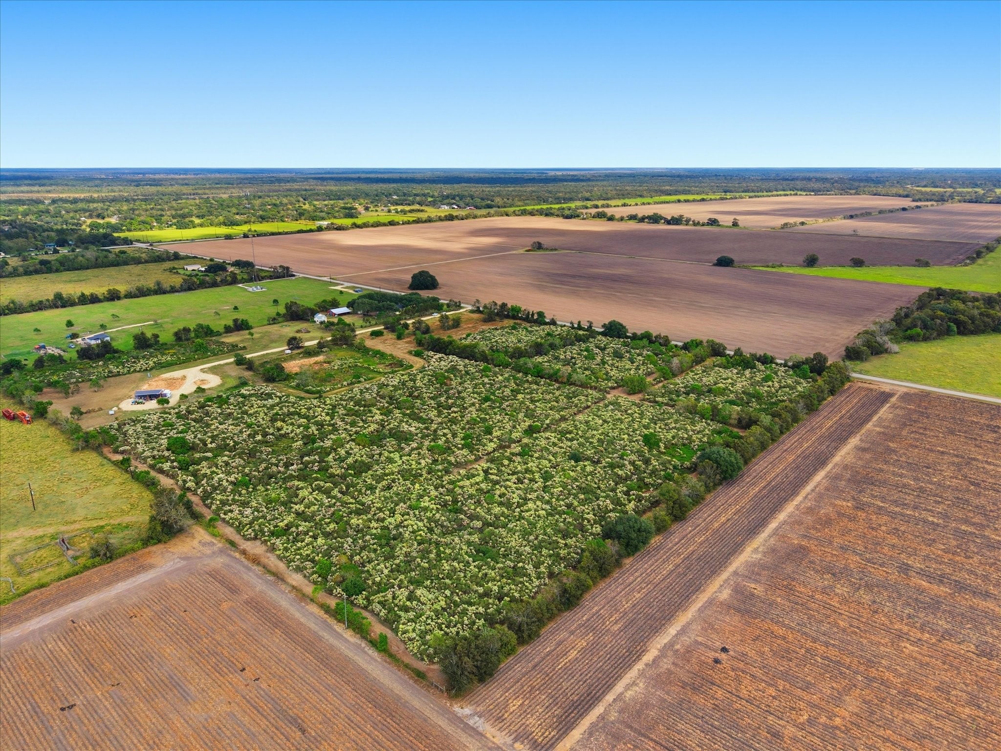 Lot 7 Cow Creek Road Damon, TX 77430 - Photo 7 of 13 a view of an ocean and beach