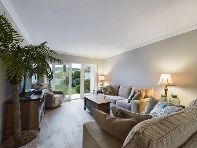 a living room with furniture and a potted plant