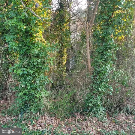 $30,000 | 13000 Mill Creek Drive, Lusby, MD 20657