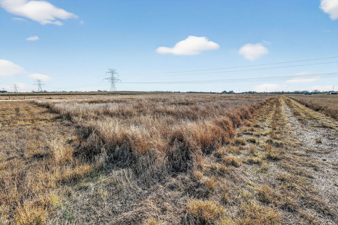 1557 Scull Road, Unit TRACT X San Marcos, TX 78666 - Photo 19 of 38 View of local wilderness with rural landscape