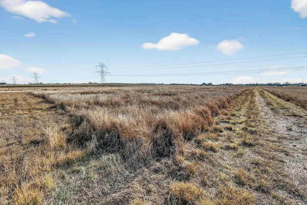 a view of a dry yard