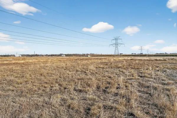 a view of a dry yard