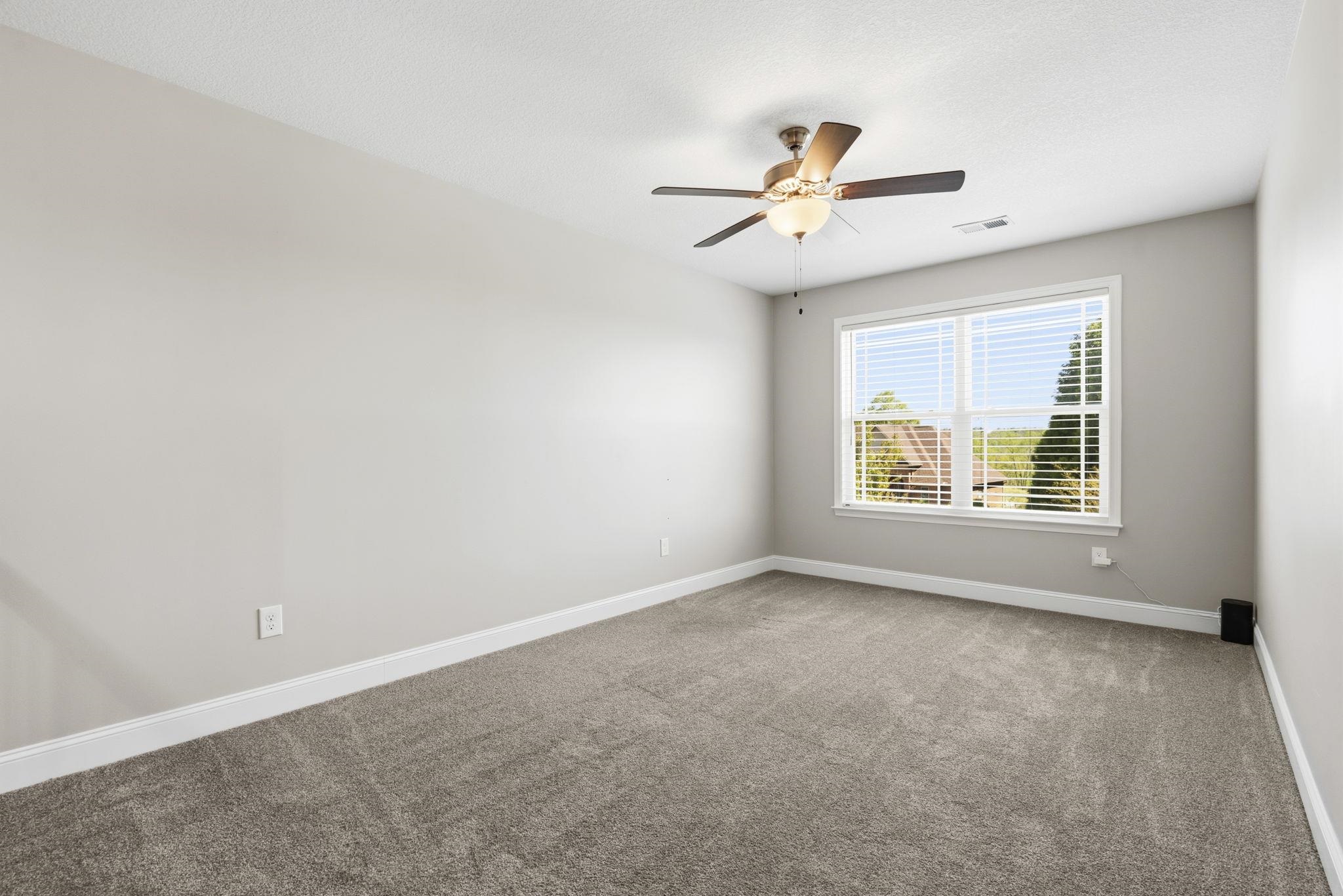 405 Cane Bluff Cove Moore, SC 29369 - Photo 19 of 49