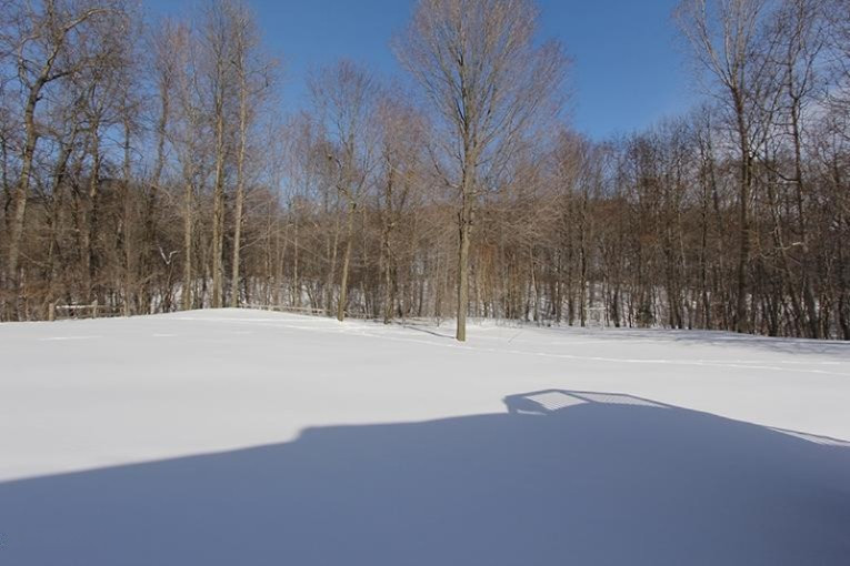 3285 Fillmore Street Jenison, MI 49428 - Photo 31 of 34 IMG_0130