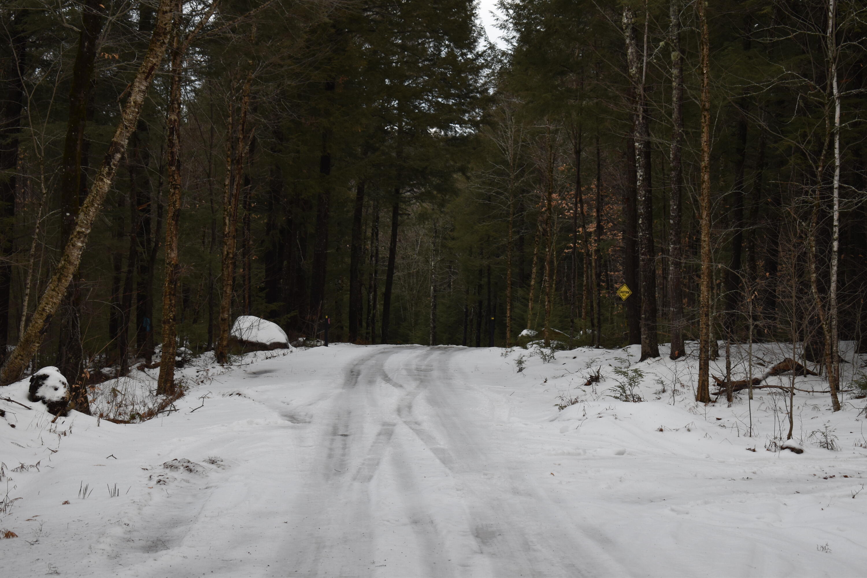 141 Eagle Ridge Road Lincoln, ME 04457 - Photo 5 of 7 DSC_0140