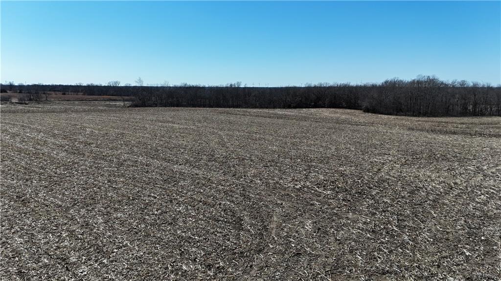 Southeast Frank Ross Road Maysville, MO 64469 - Photo 11 of 14