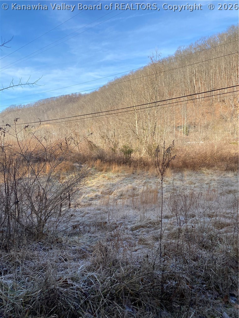 Tbd Bell Road Chapmanville, WV 25508 - Photo 9 of 11 Gallery Image 9