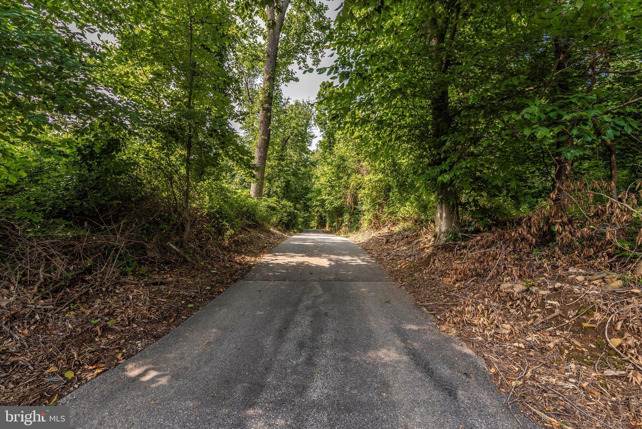 6313 Ford Road Frederick, MD 21702 - Photo 53 of 53 Paved Driveway