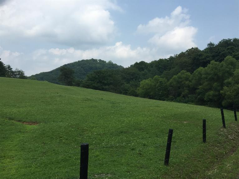 2170 Knob Lick Road Irvine, KY 40336 - Photo 23 of 25 Photo 23