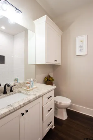 a bathroom with a granite countertop sink a toilet and a mirror