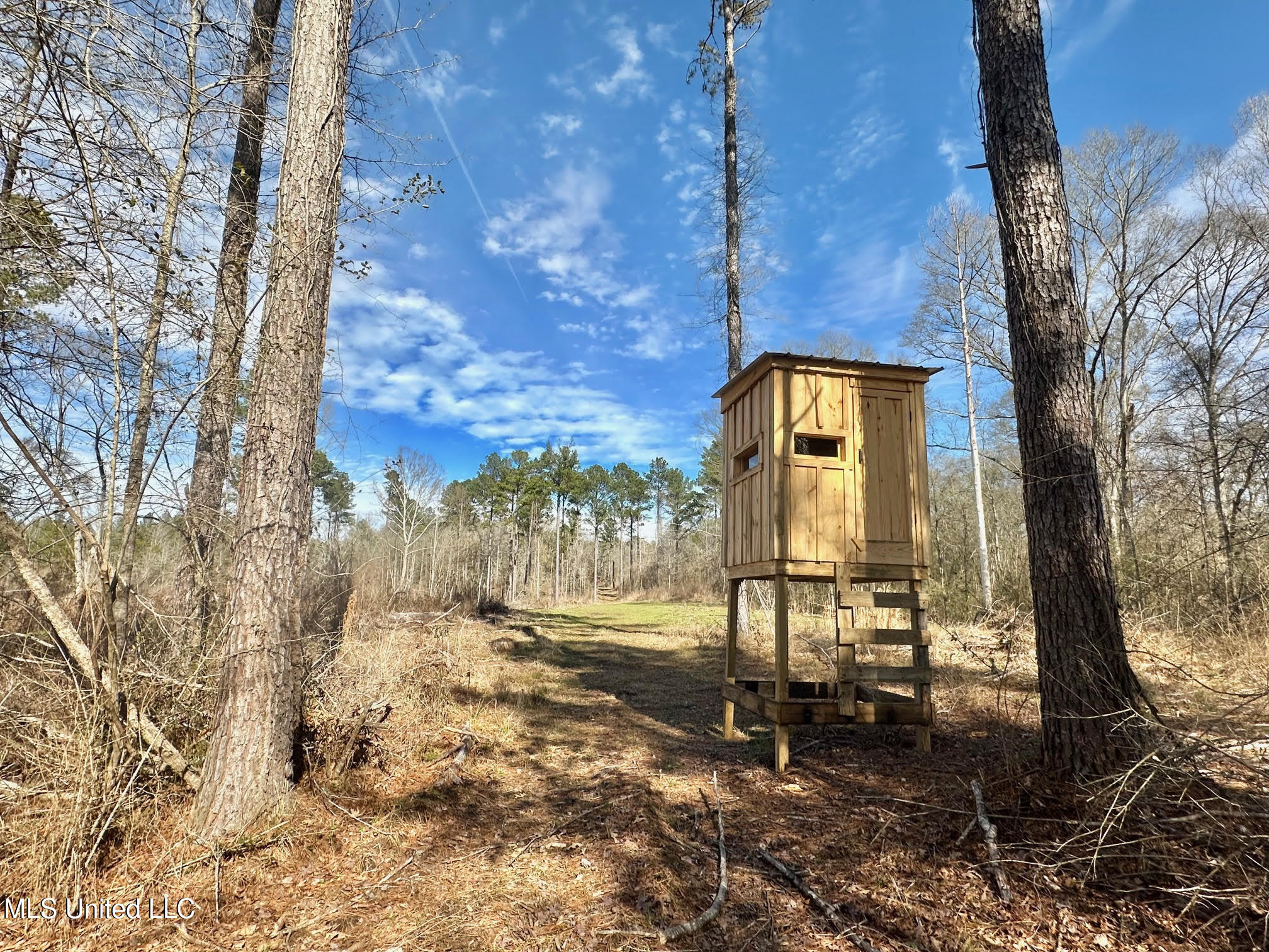 4 Prentiss Crump Road Utica, MS 39175 - Photo 13 of 28 587