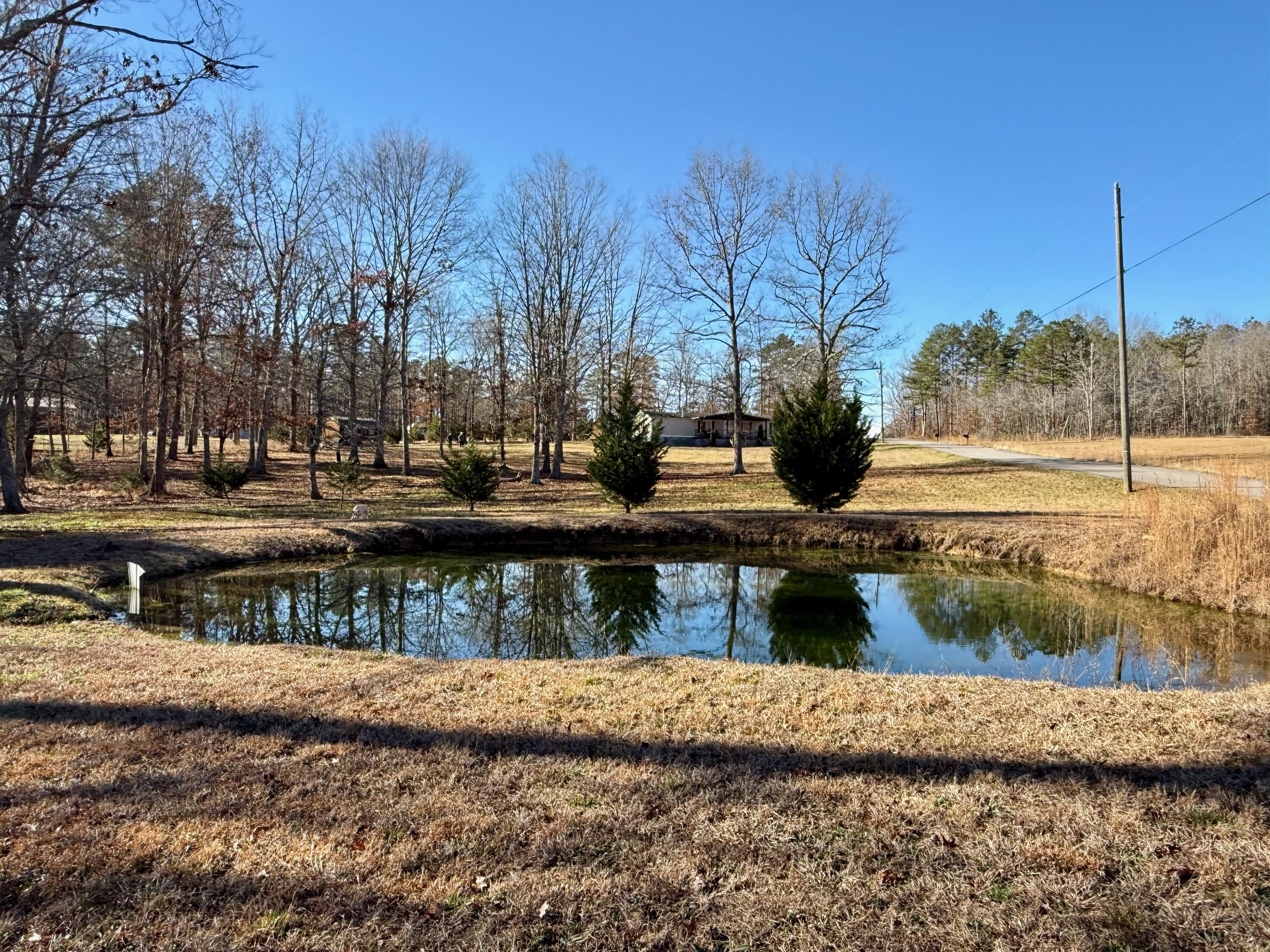 2252 Gizzard Creek Road Sequatchie, TN 37374 - Photo 1 of 31 Pond (fed by spring)
