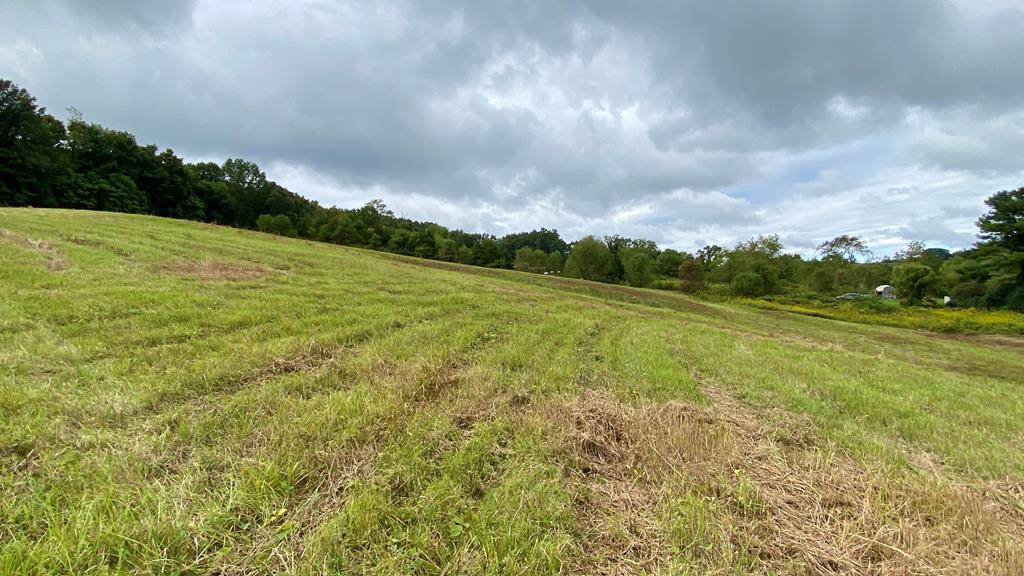 Tbd Castleton Road, Unit 62110 Max Meadows, VA 24360 - Photo 27 of 37 Gallery Image 27