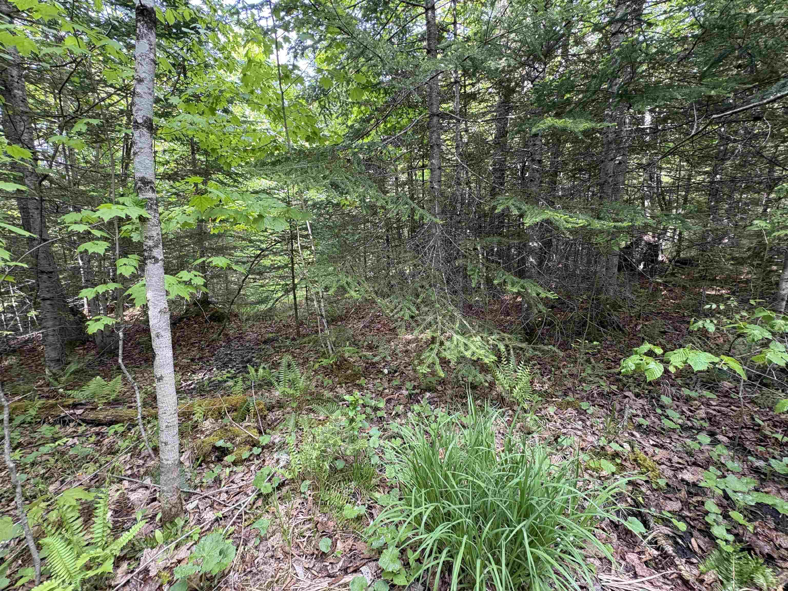 905 Peak Road Wheelock, VT 05851 - Photo 23 of 30