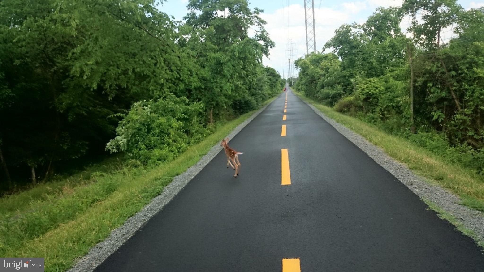 522 Dranesville Road Herndon, VA 20170 - Photo 43 of 47 W&OD Trail