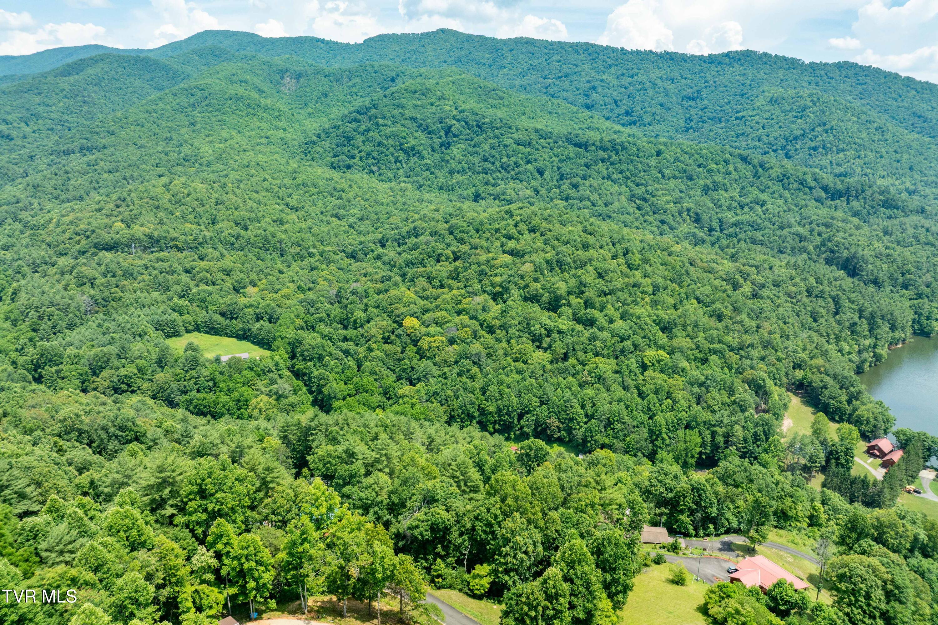 Lot 5 Lake Ridge Road, Unit 5 Butler, TN 37640 - Photo 16 of 24 Lot 5 (16 of 23)