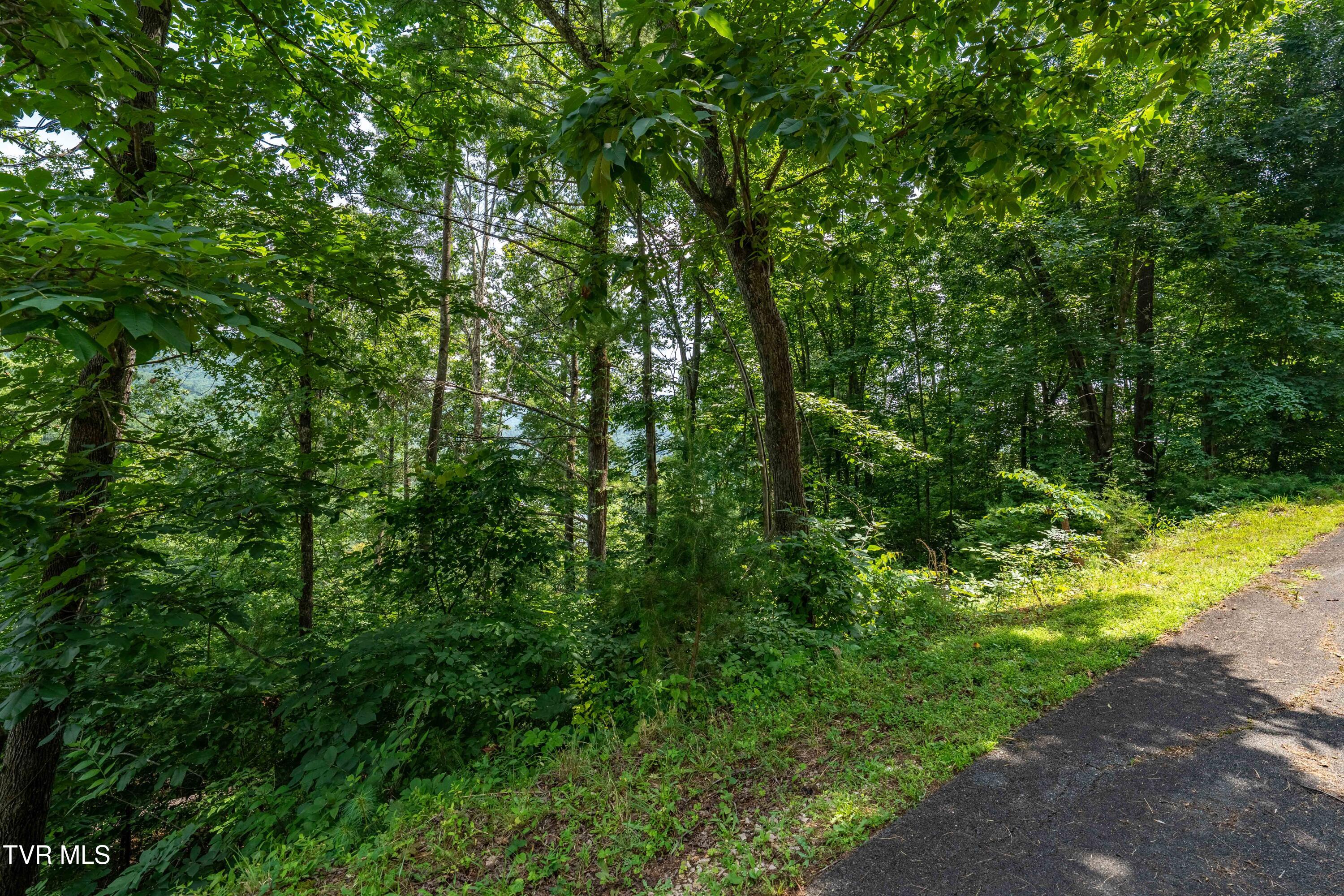 Lot 5 Lake Ridge Road, Unit 5 Butler, TN 37640 - Photo 21 of 24 Lot 5 (21 of 23)