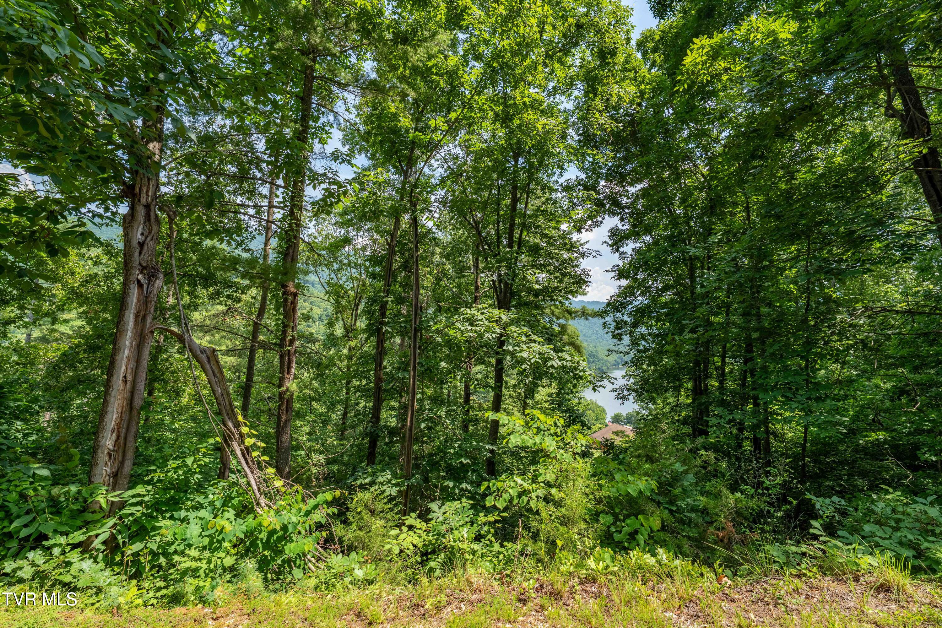 Lot 5 Lake Ridge Road, Unit 5 Butler, TN 37640 - Photo 22 of 24 Lot 5 (22 of 23)