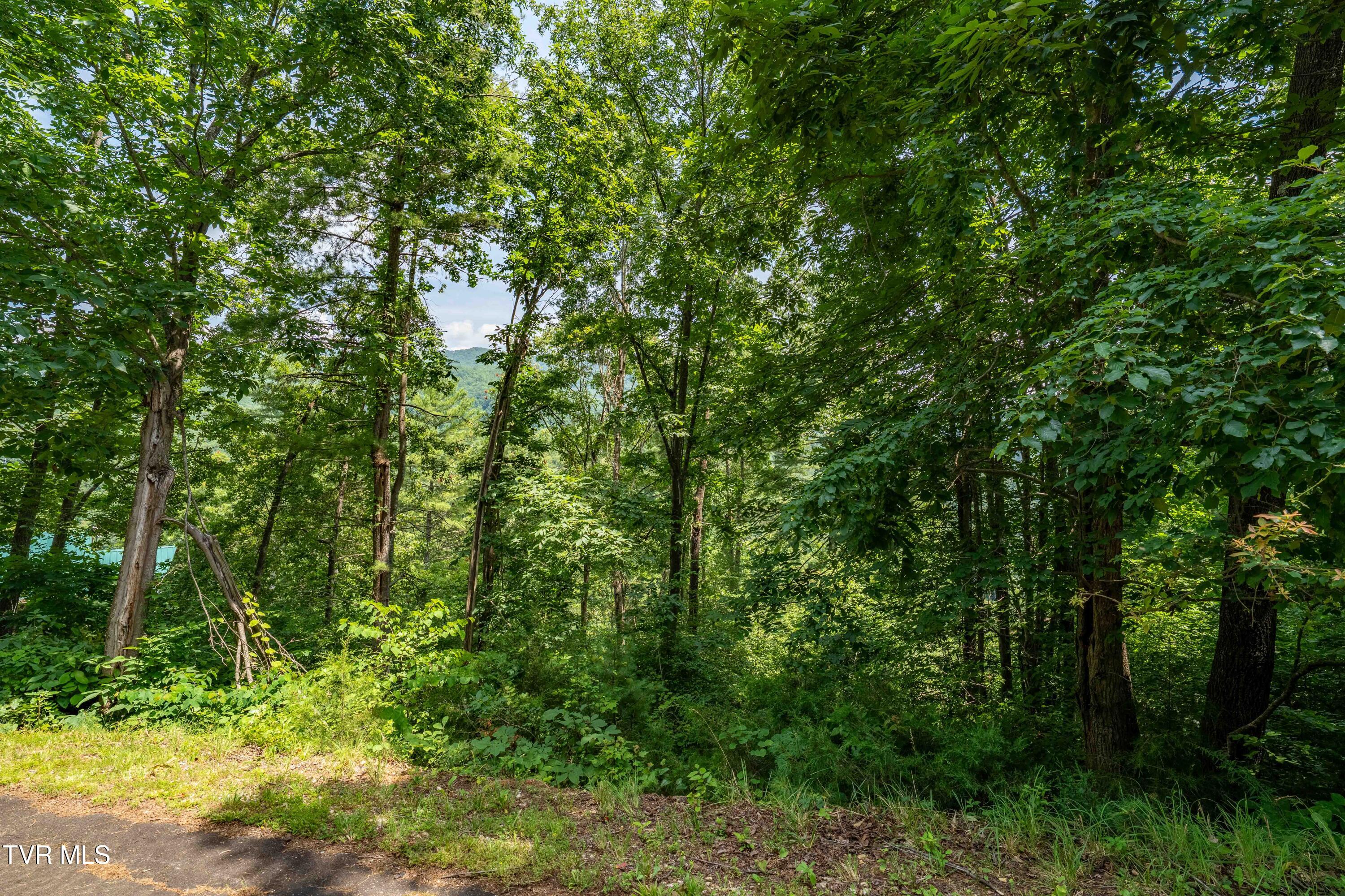 Lot 5 Lake Ridge Road, Unit 5 Butler, TN 37640 - Photo 23 of 24 Lot 5 (23 of 23)