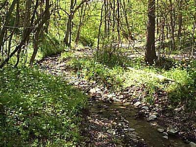 8.000-ac Treaty Line Road Liberty, IN 47353 - Photo 1 of 1
