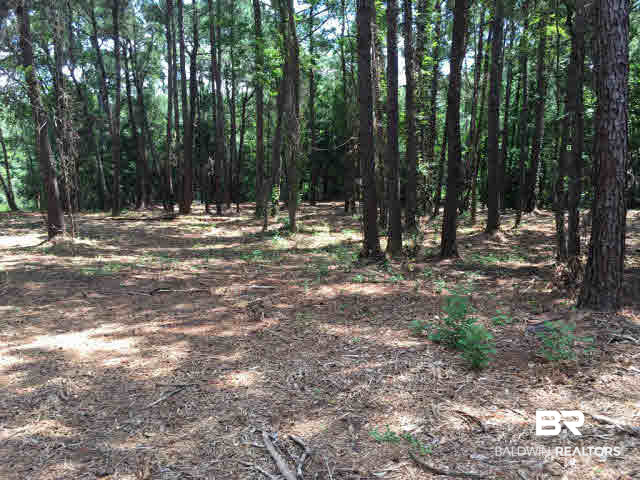 0 Clay City Road Fairhope, AL 36532 - Photo 8 of 15
