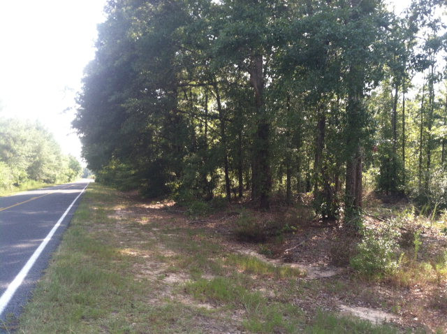 Parcel A Tabernacle Road Salley, SC 29137 - Photo 3 of 6
