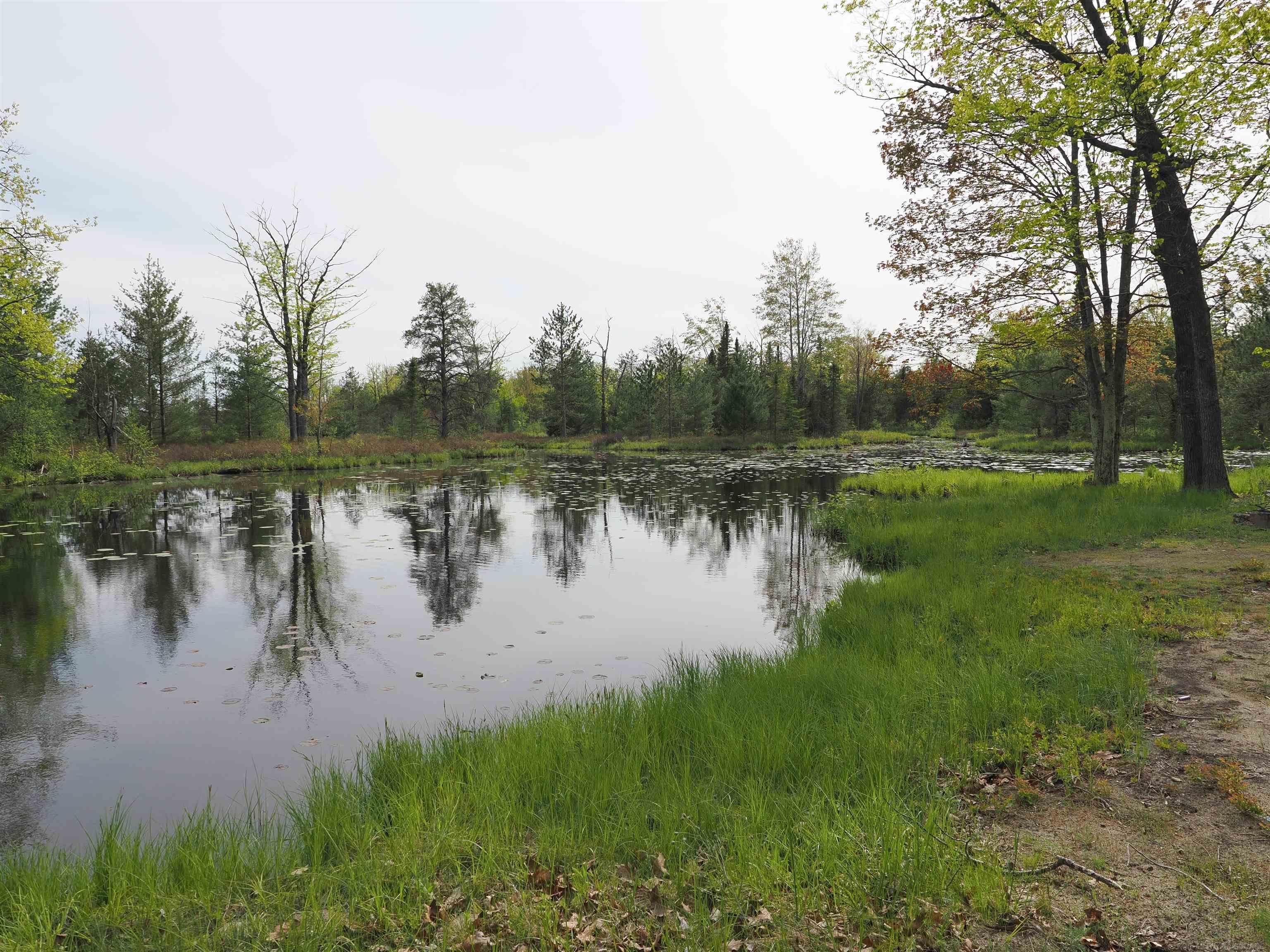 4011 Sandall Road Alpena, MI 49707 - Photo 2 of 73