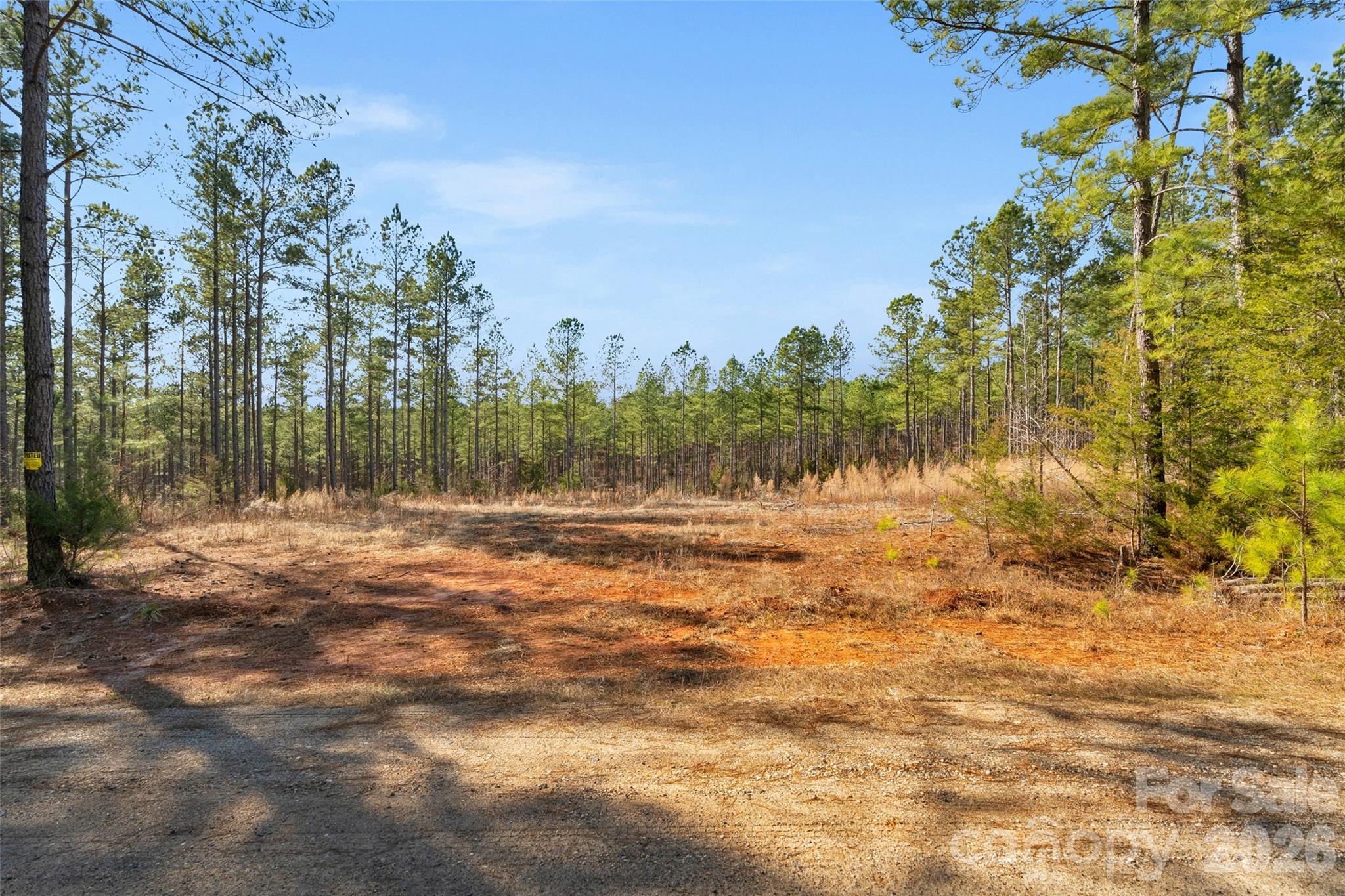 0 Peacehaven Road, Unit 1 McConnells, SC 29726 - Photo 17 of 36