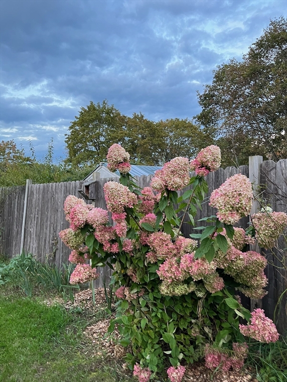 14 Burncolt Road Northampton, MA 01062 - Photo 27 of 28 a view of a garden with lots of flowers and green space