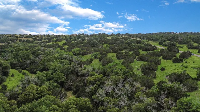 an aerial view of houses covered in trees