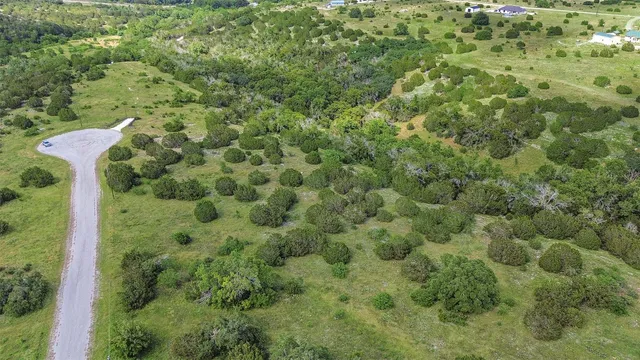 a view of a forest with a house
