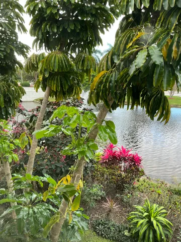 a view of a flower in a garden