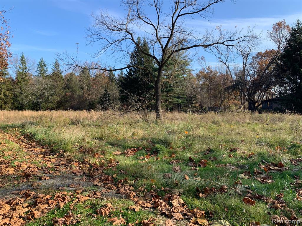 Vacant Merriman Road New Boston, MI 48164 - Photo 3 of 12