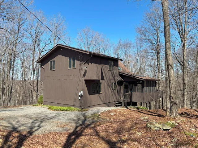 a view of a yard with plants and trees