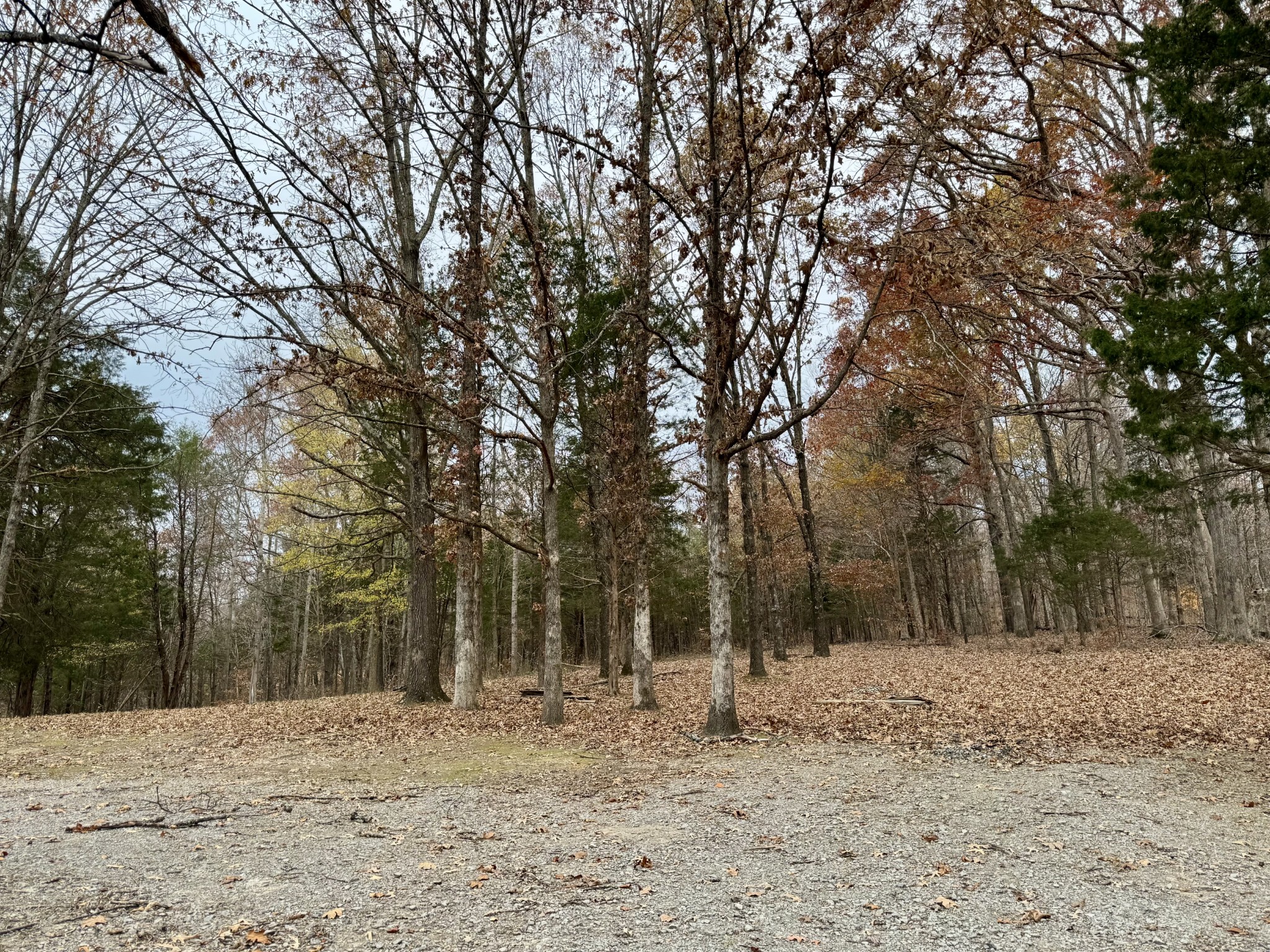 1411 Stoney Point Road Vanleer, TN 37181 - Photo 12 of 13 Gallery Image 12